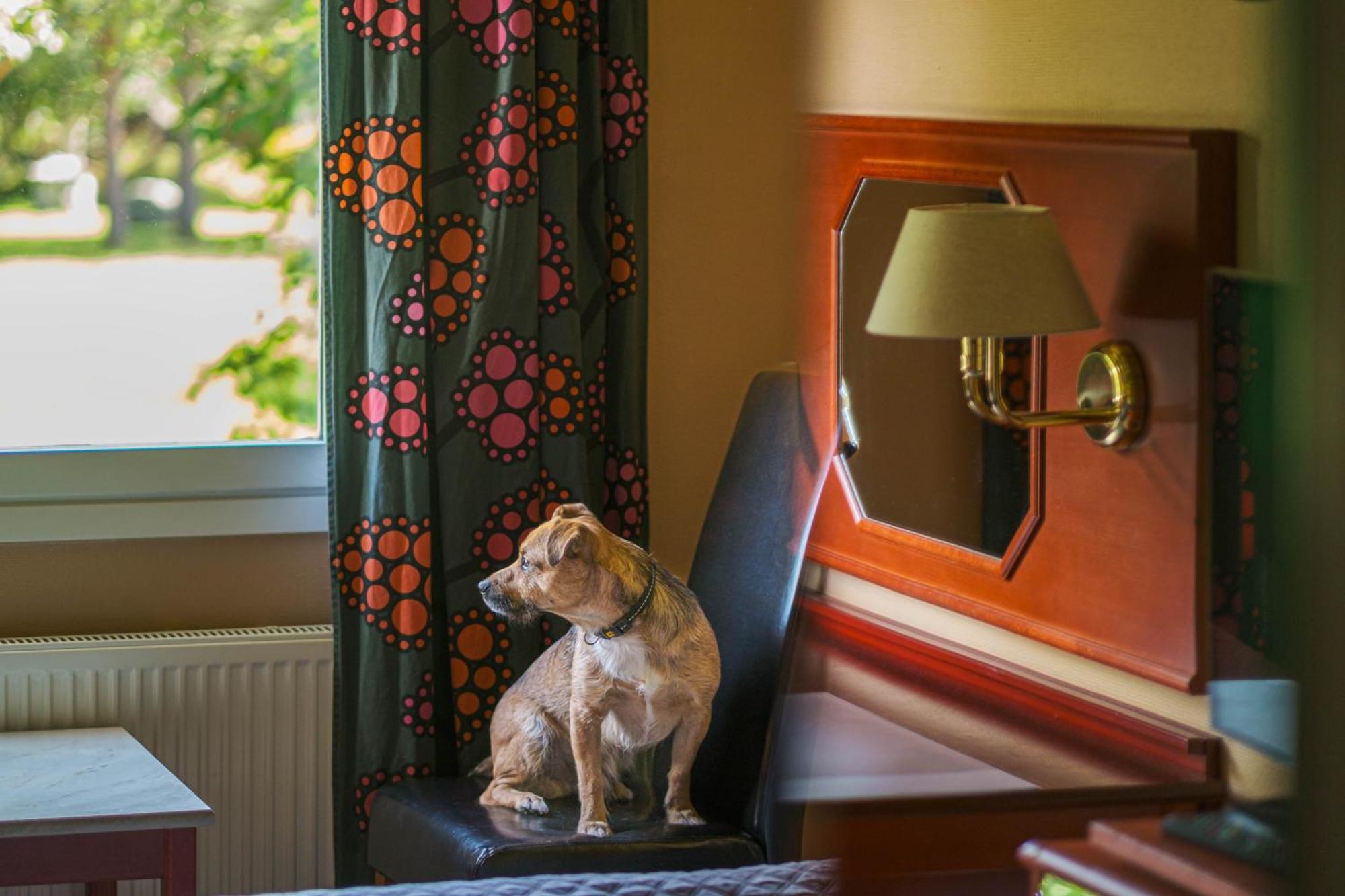 Jaemtkrogen Hotell Bracke  Room photo